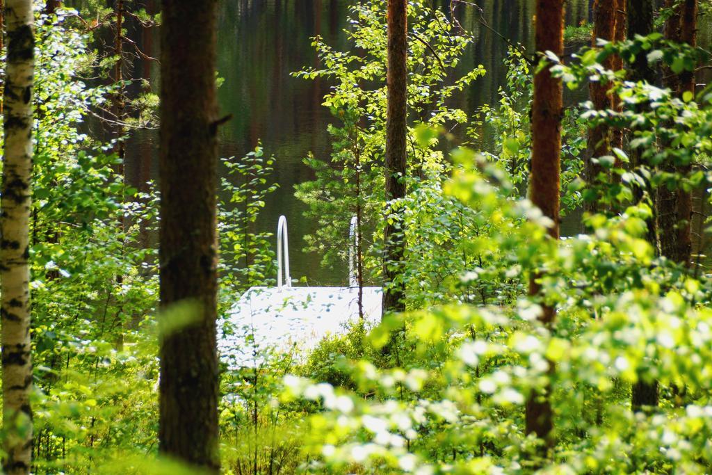 Kettu Holl Cottage Taipalsaari Exteriér fotografie